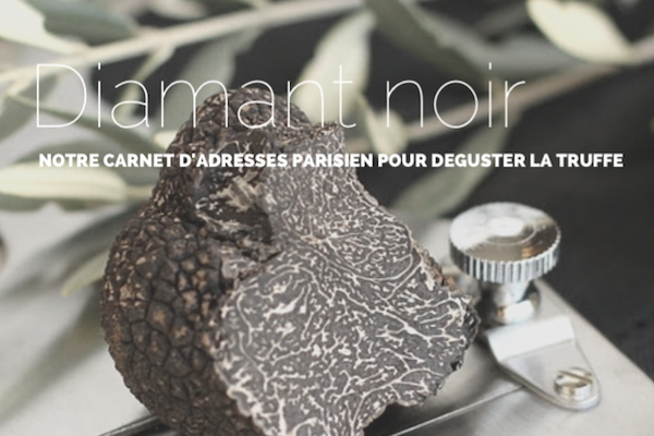 La truffe, l'incontournable diamant noir 